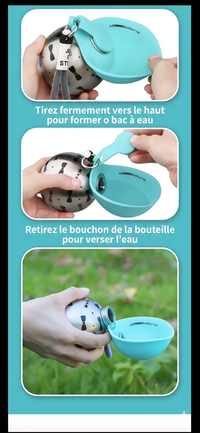 Gourde Portable 2-en-1 pour Chien – Inox & Silicone