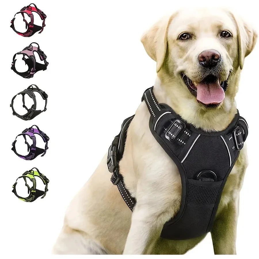 Harnais et laisse pour chien – Cuir & Accessoires