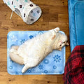 Tapis Rafraîchissant  "oasis" pour Chien & Chat