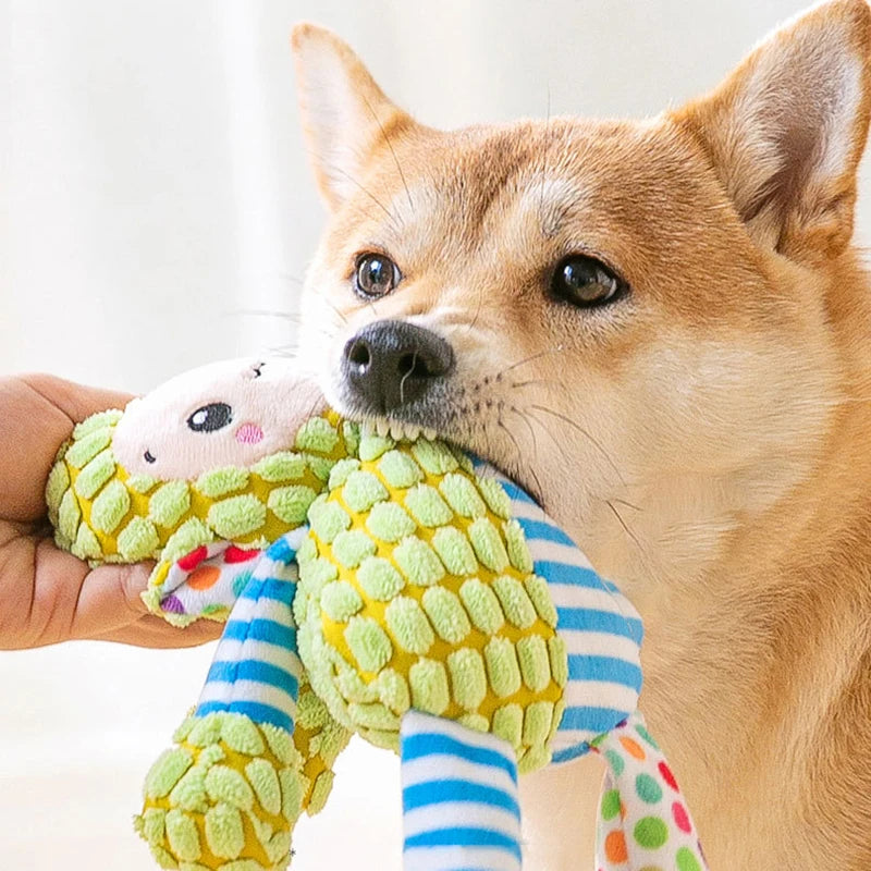 Jouet puzzle en peluche couinant pour chien et chat