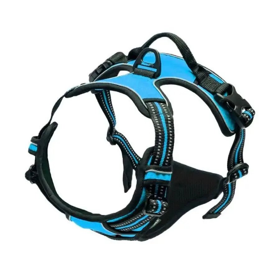Harnais et laisse pour chien – Cuir & Accessoires