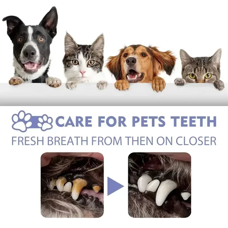 Spray Dentaire pour Chien et Chat – Haleine Fraîche & Dents Blanches