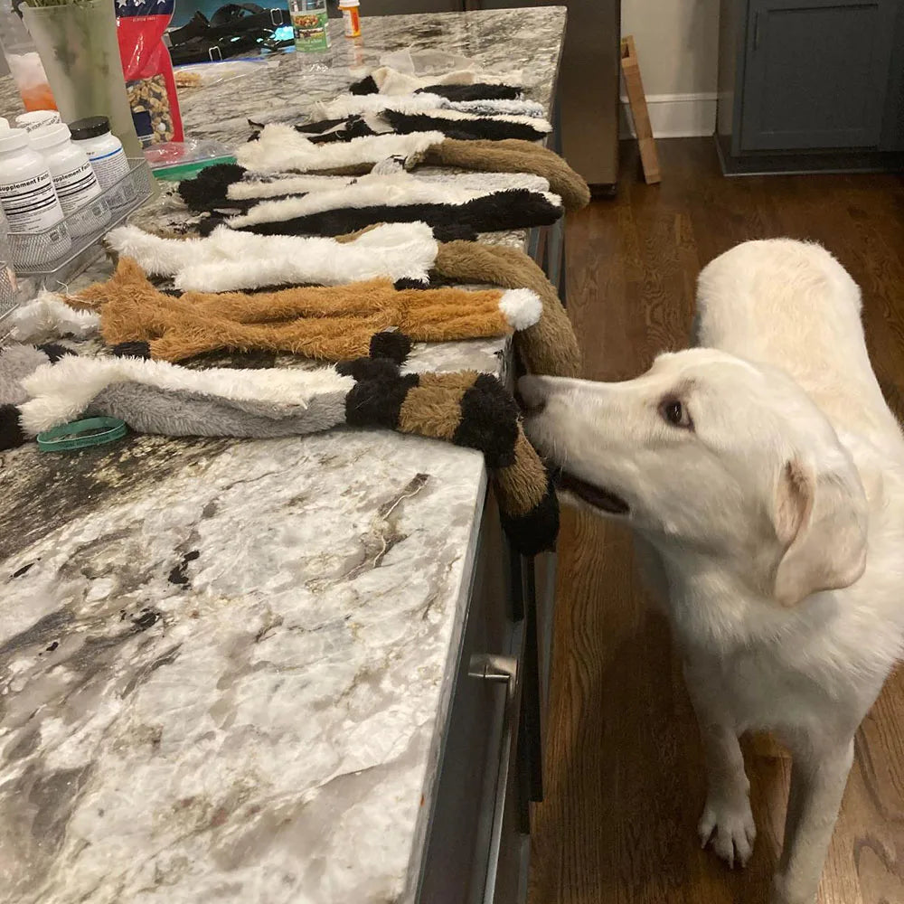Jouet chien en peluche sans rembourrage avec couinement