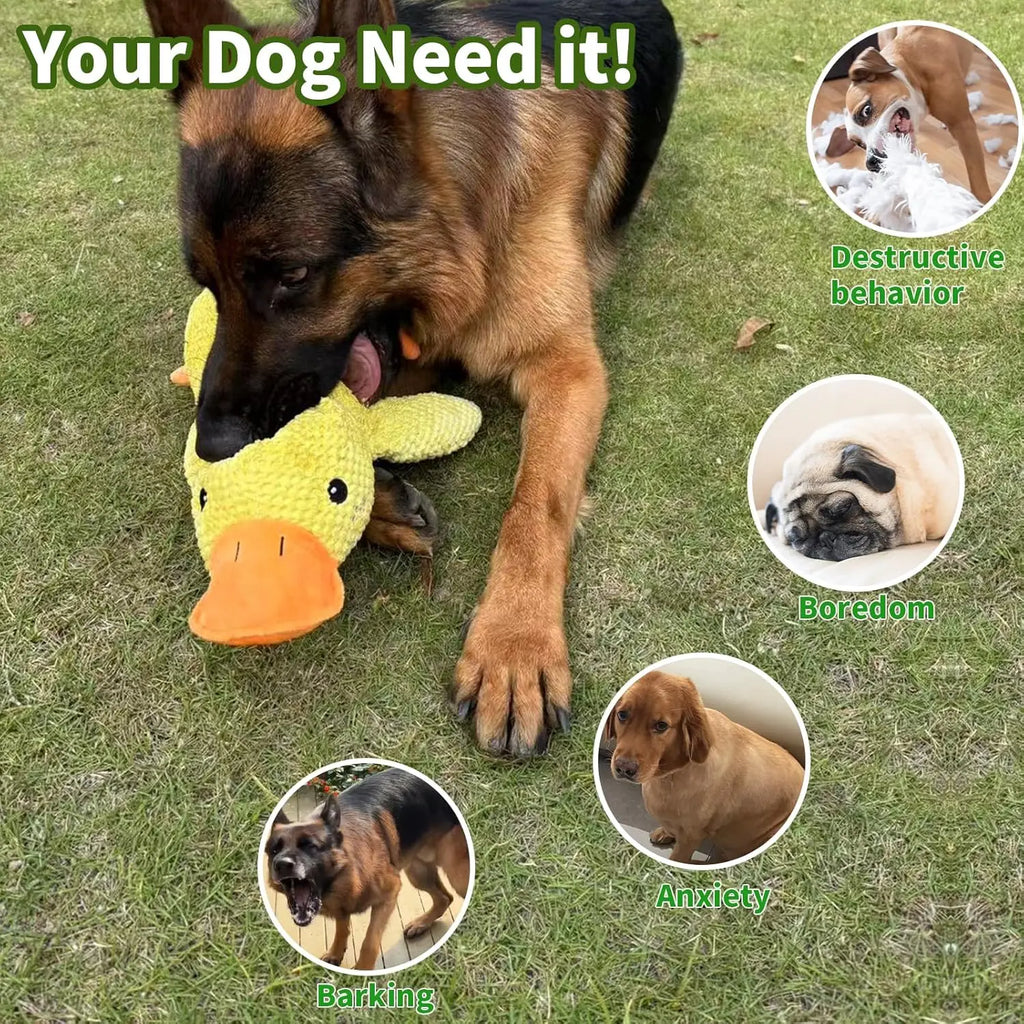 Jouet canard en peluche couinant pour chien