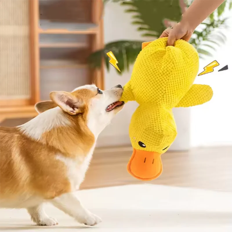 Jouet canard en peluche couinant pour chien