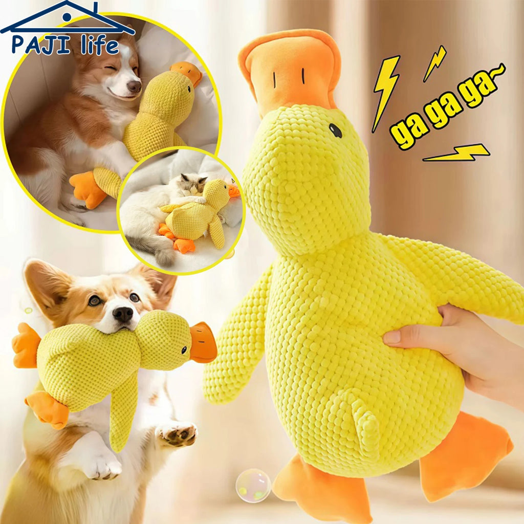 Jouet canard en peluche couinant pour chien