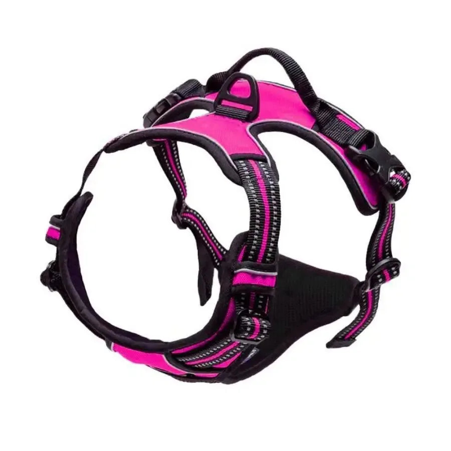 Harnais et laisse pour chien – Cuir & Accessoires