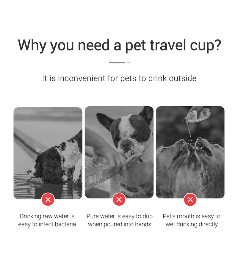 Gourde Portable pour Chien