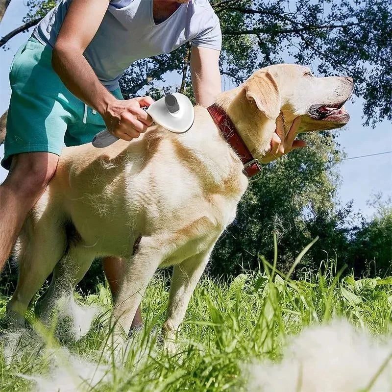 Brosse de Toilettage Auto-Nettoyante pour Chien et Chat