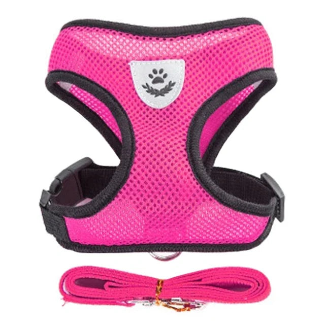Harnais gilet pour chat – Laisse de promenade réglable