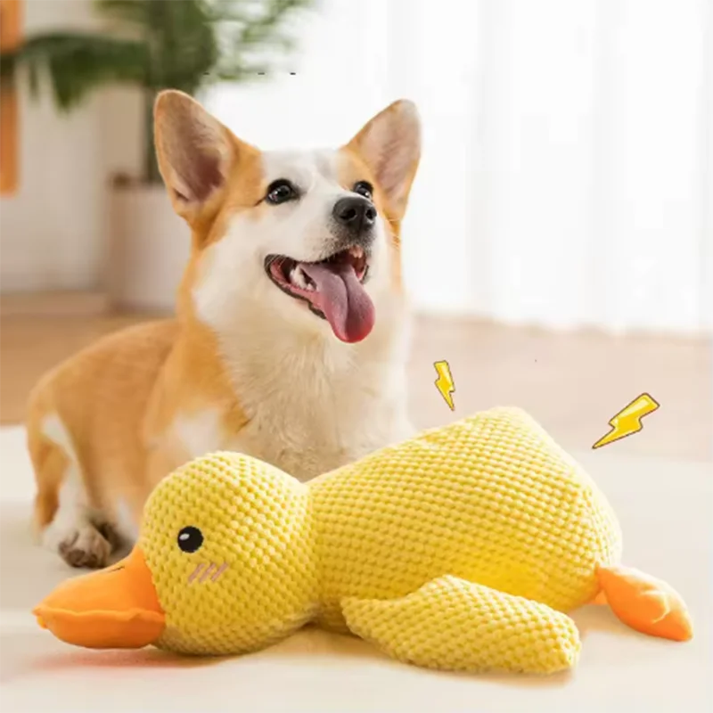 Jouet canard en peluche couinant pour chien