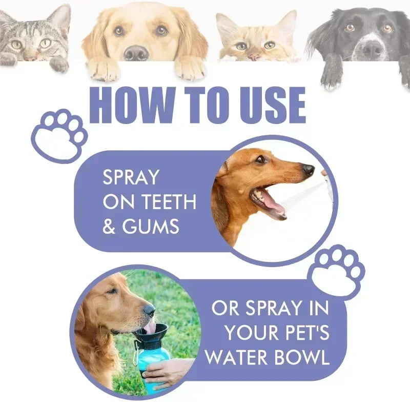 Spray Dentaire pour Chien et Chat – Haleine Fraîche & Dents Blanches