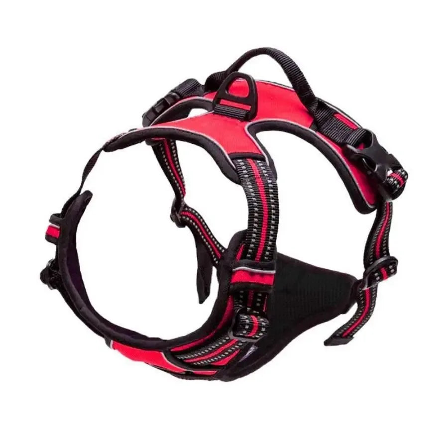 Harnais et laisse pour chien – Cuir & Accessoires