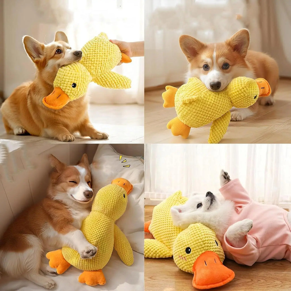 Jouet canard en peluche couinant pour chien