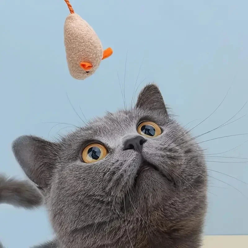 Lot 3/7 jouets souris et rats en peluche interactifs pour chat
