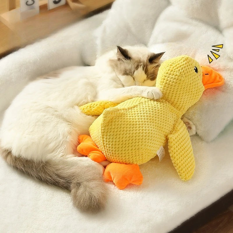 Jouet canard en peluche couinant pour chien