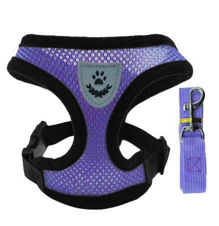 Harnais gilet pour chat – Laisse de promenade réglable