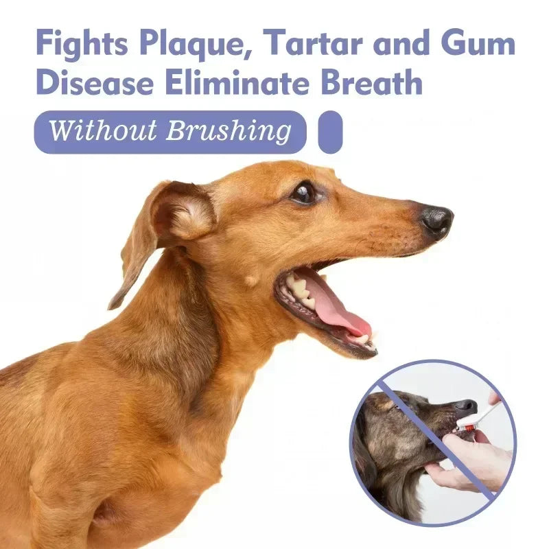 Spray Dentaire pour Chien et Chat – Haleine Fraîche & Dents Blanches