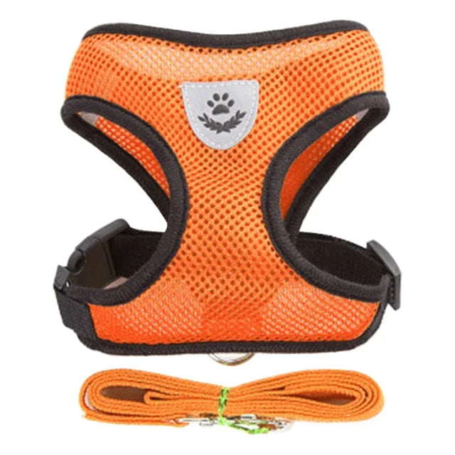 Harnais gilet pour chat – Laisse de promenade réglable