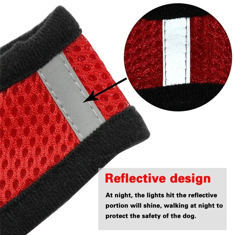Harnais gilet pour chat – Laisse de promenade réglable
