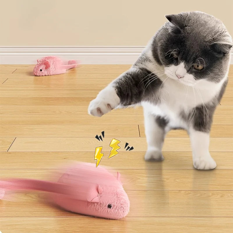 Jouet souris en peluche interactif pour chat – Simulation réaliste