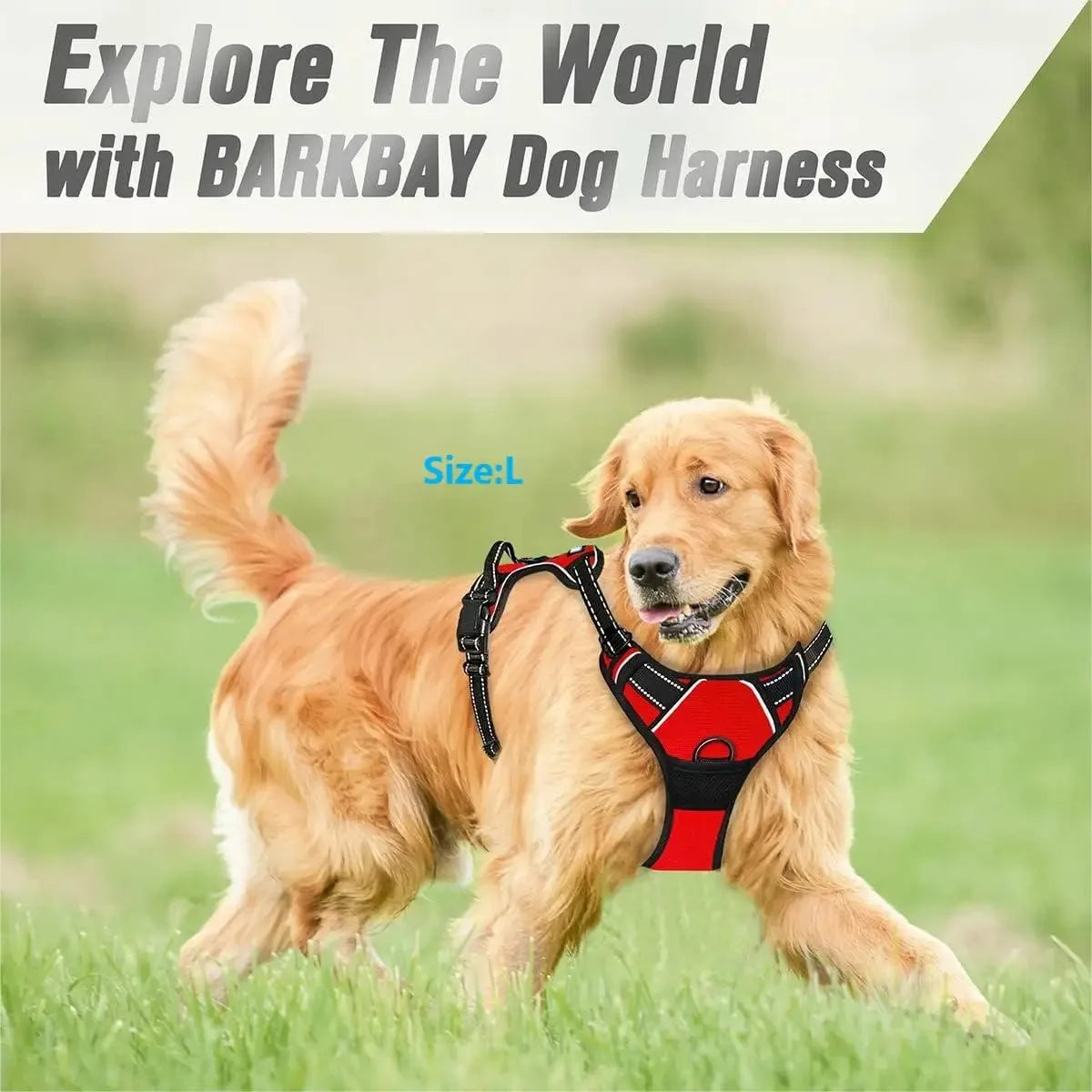 Harnais et laisse pour chien – Cuir & Accessoires