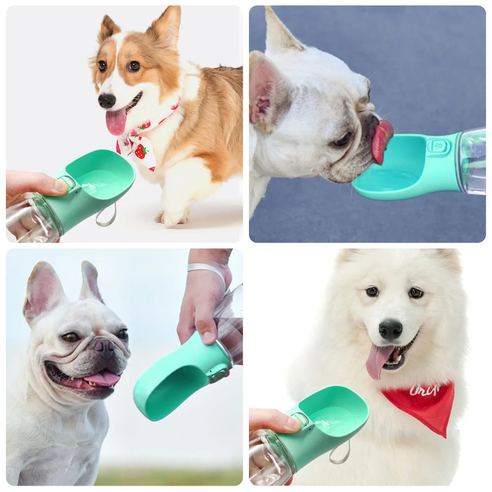 Gourde Portable pour Chien