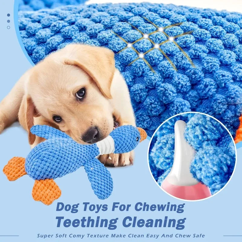 Jouet interactif en peluche pour chats et chiens mordeurs