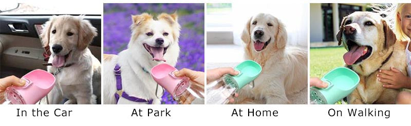 Gourde Portable pour Chien