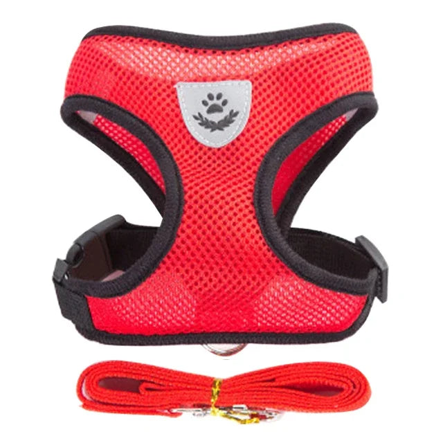 Harnais gilet pour chat – Laisse de promenade réglable