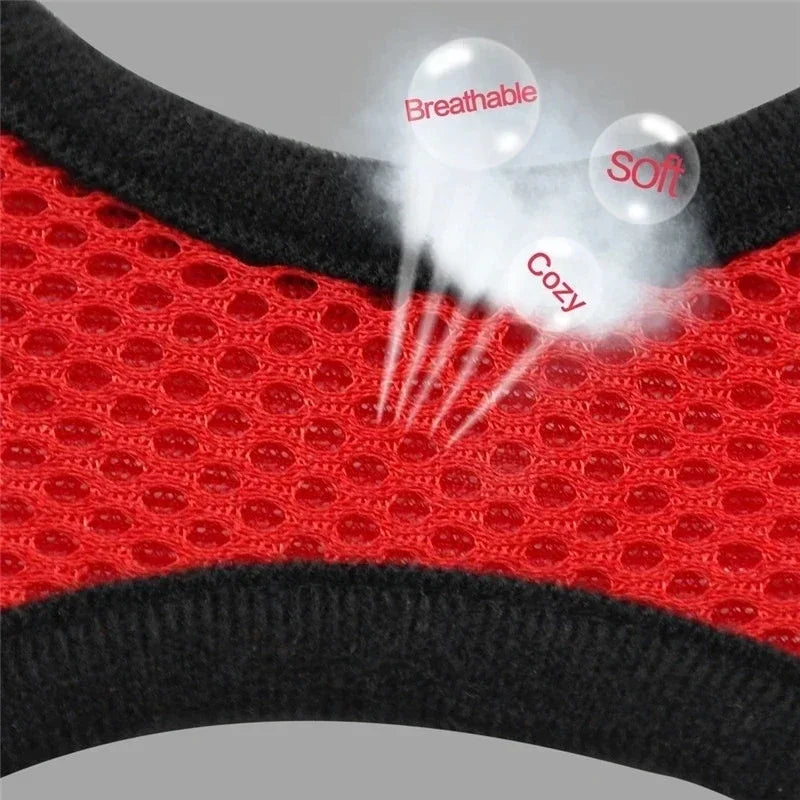 Harnais gilet pour chat – Laisse de promenade réglable