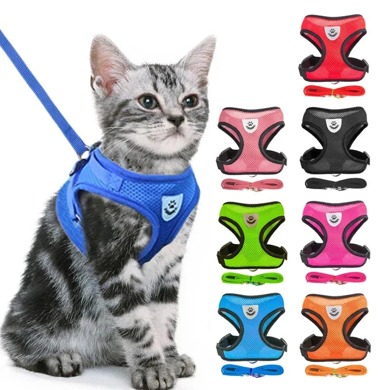 Harnais gilet pour chat – Laisse de promenade réglable