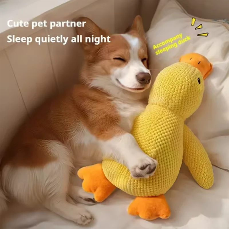 Jouet canard en peluche couinant pour chien