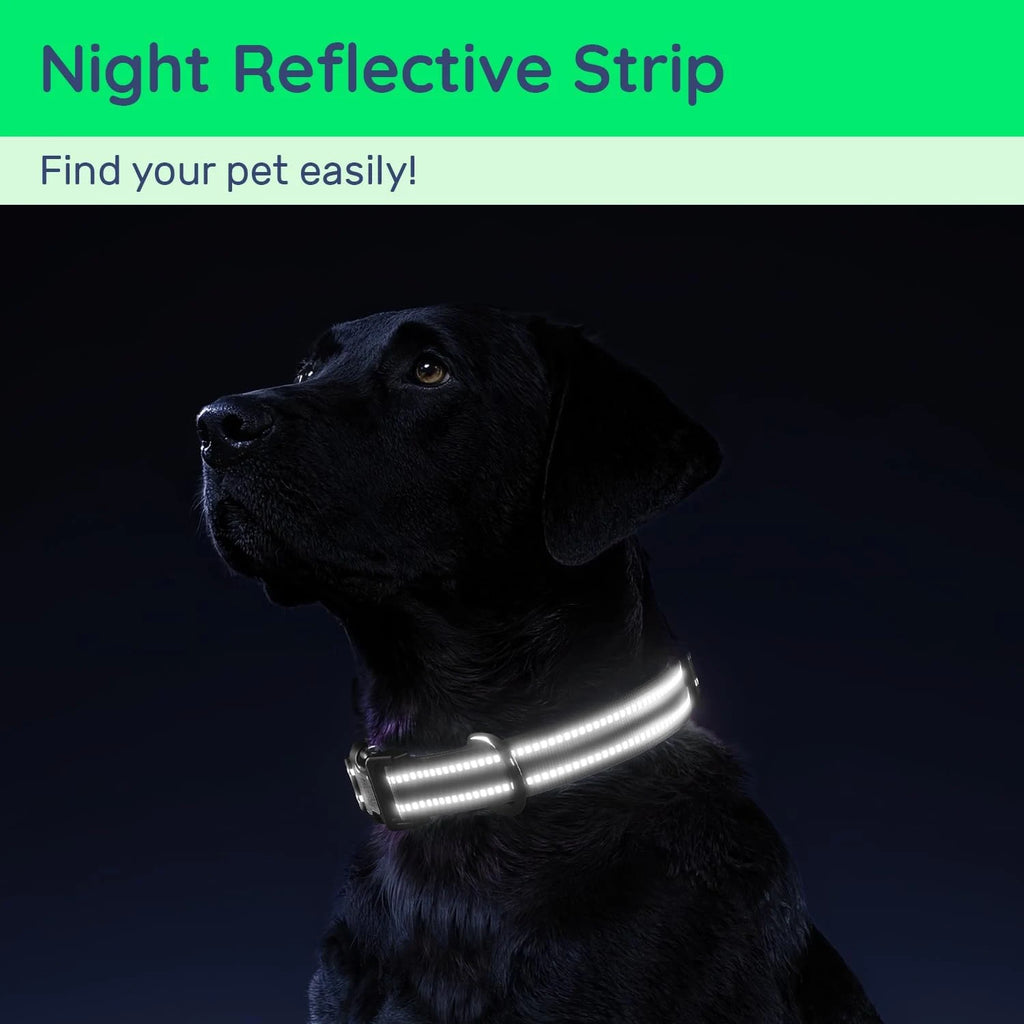 Collier pour Chien avec Support AirTag – Réfléchissant & Réglable