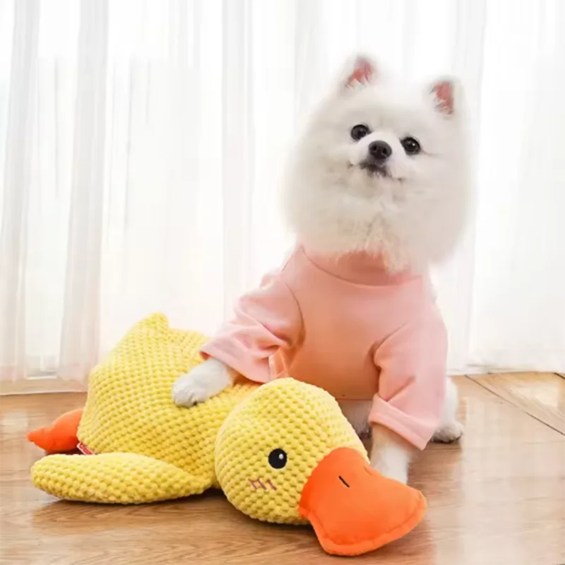Jouet canard en peluche couinant pour chien