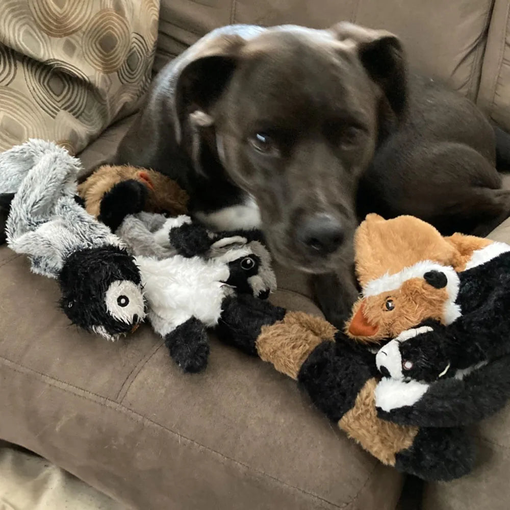 Jouet chien en peluche sans rembourrage avec couinement