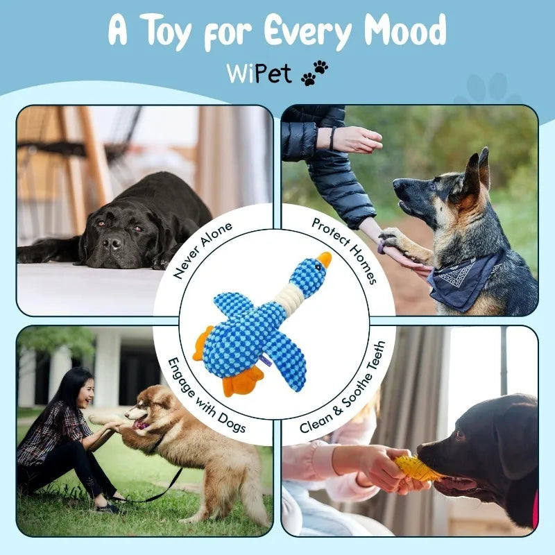 Jouet interactif en peluche pour chats et chiens mordeurs
