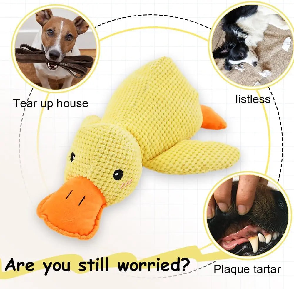 Jouet canard en peluche couinant pour chien