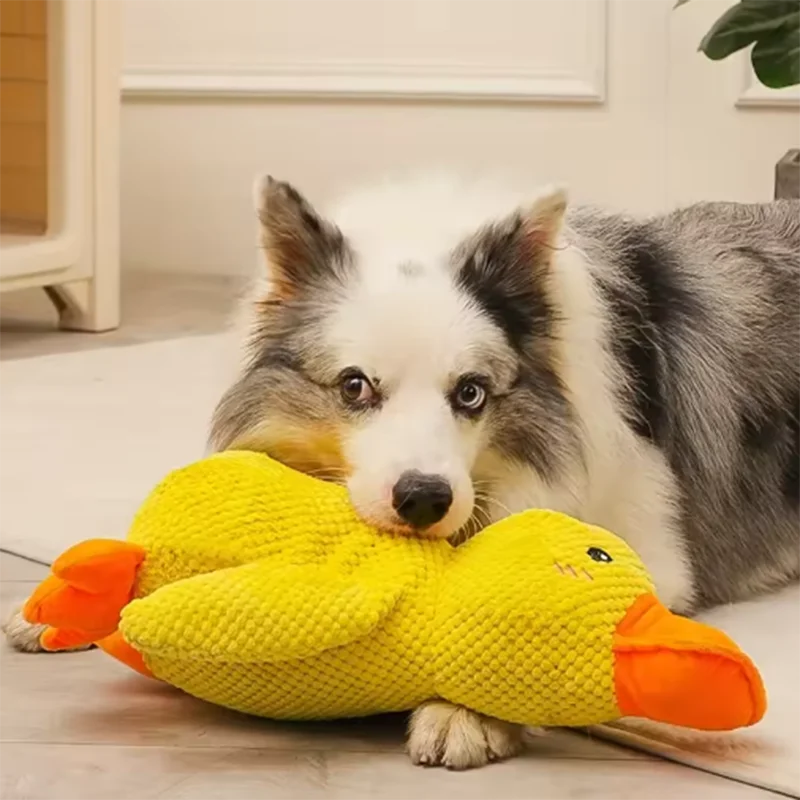 Jouet canard en peluche couinant pour chien
