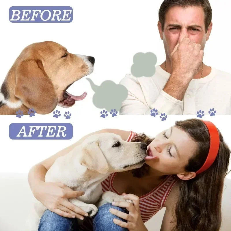 Spray Dentaire pour Chien et Chat – Haleine Fraîche & Dents Blanches
