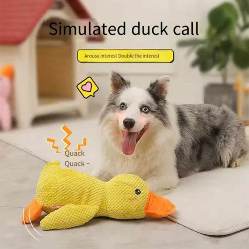 Jouet canard en peluche couinant pour chien