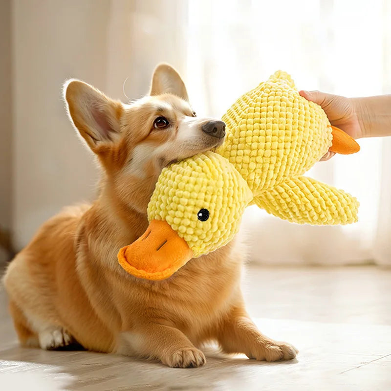 Jouet interactif en peluche pour chats et chiens mordeurs