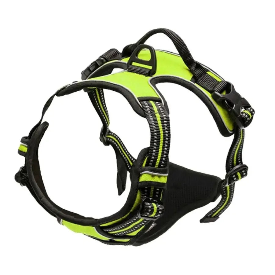 Harnais et laisse pour chien – Cuir & Accessoires