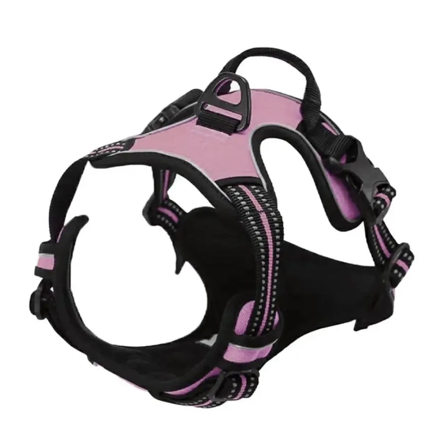 Harnais et laisse pour chien – Cuir & Accessoires