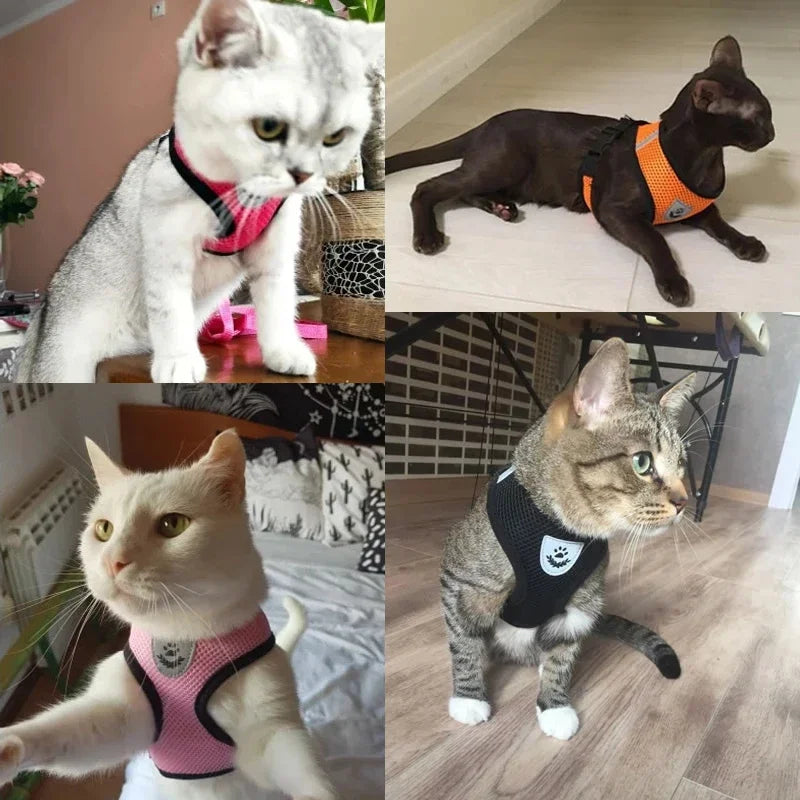 Harnais gilet pour chat – Laisse de promenade réglable