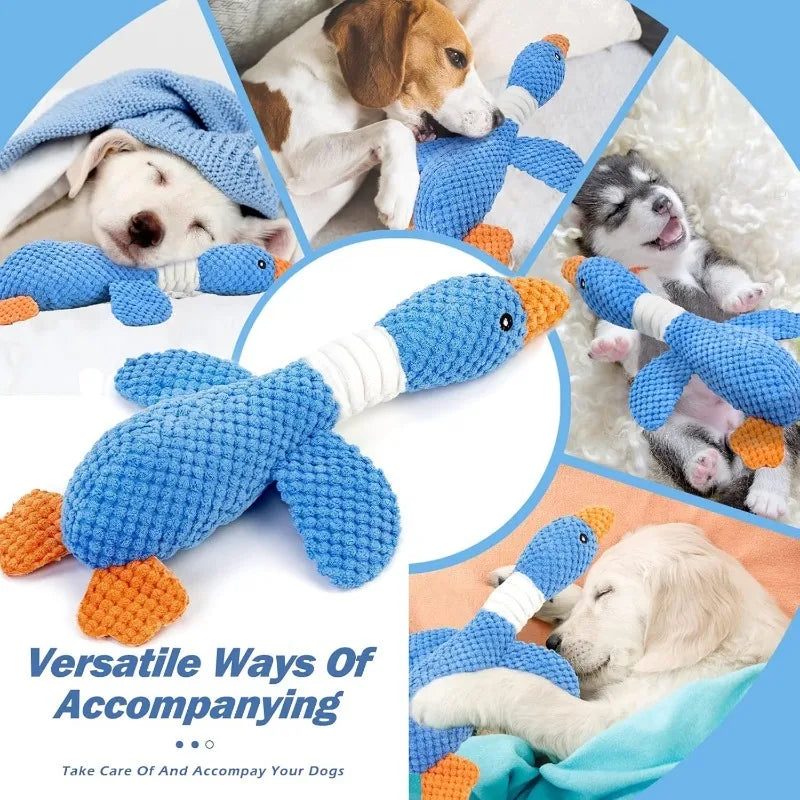 Jouet interactif en peluche pour chats et chiens mordeurs