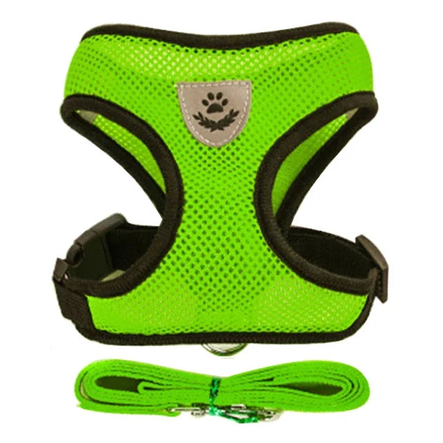 Harnais gilet pour chat – Laisse de promenade réglable