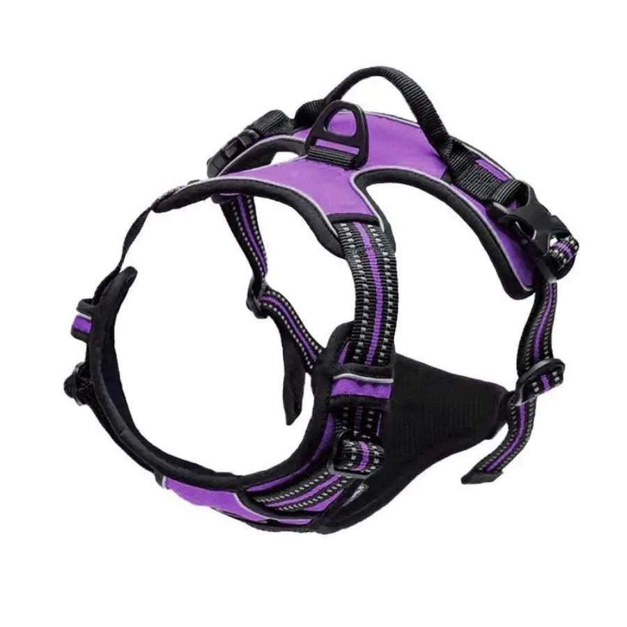 Harnais et laisse pour chien – Cuir & Accessoires