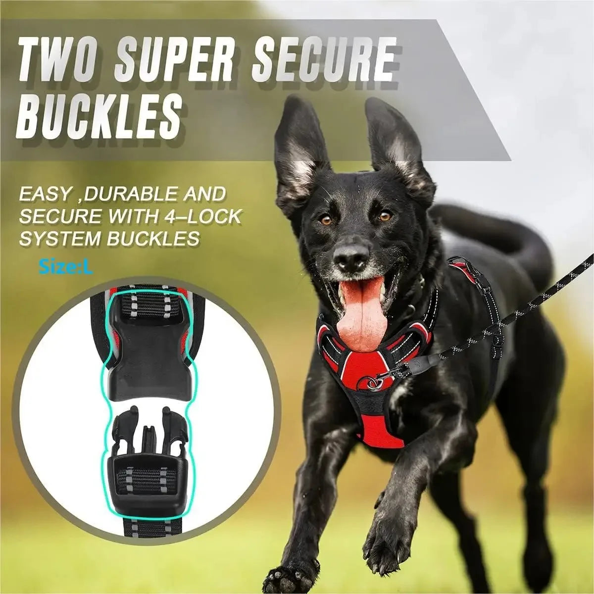 Harnais et laisse pour chien – Cuir & Accessoires