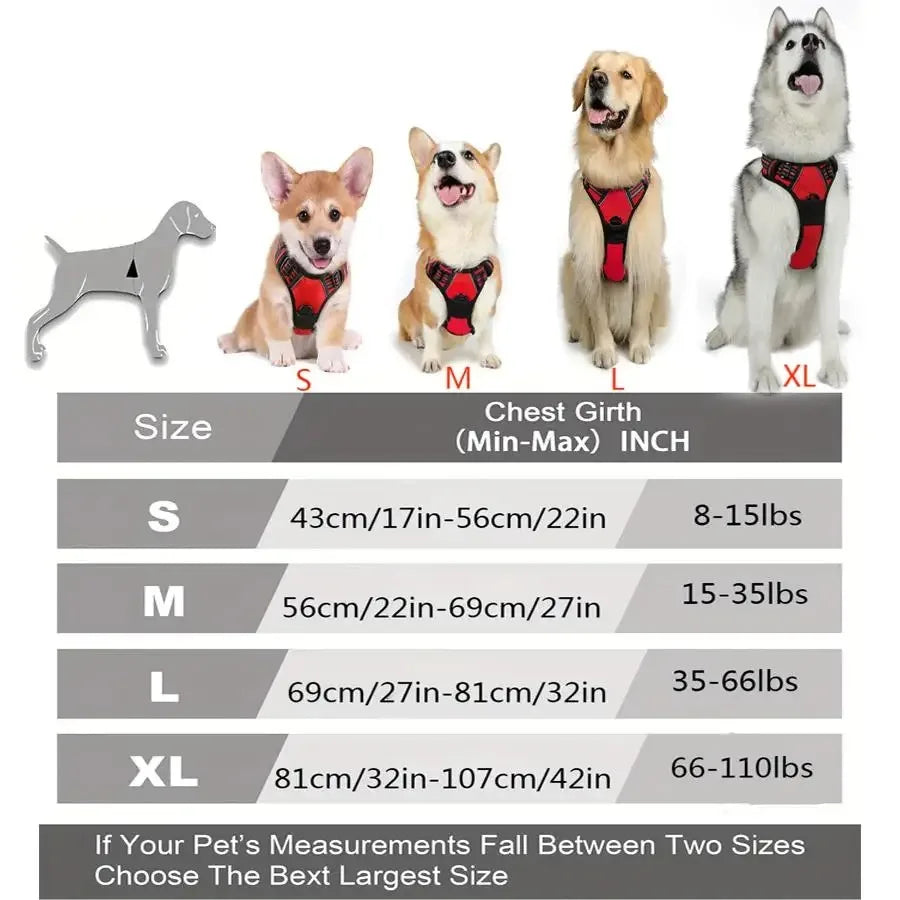Harnais et laisse pour chien – Cuir & Accessoires